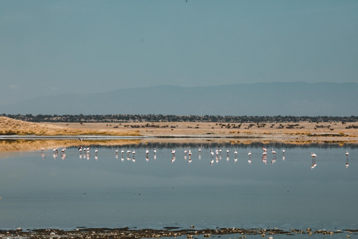 Individual, Youth, Marriage and Family Guidance and Counseling